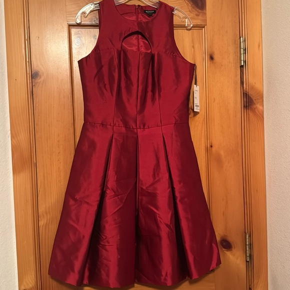 Worth Dresses & Skirts - Worth New York Gorgeous Ruby Red silk blend occasion dress size 4  NWT